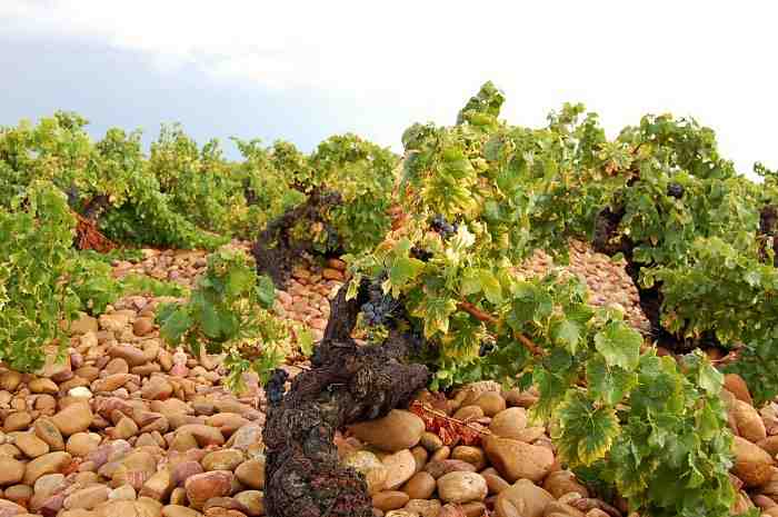 chateauneuf